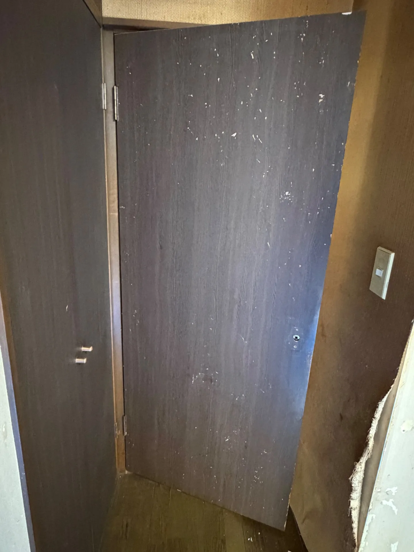 ドア交換って必要？費用やタイミングをプロが解説